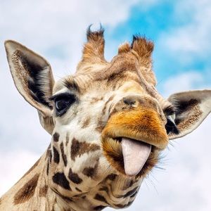 Meet your Posher, Becky